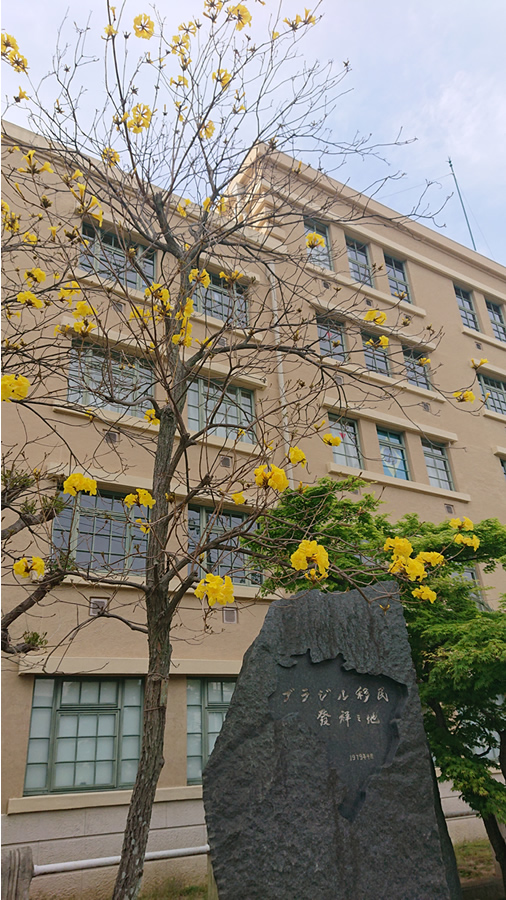 海外移住と文化の交流センター 過去のイベント情報 海外移住と文化の交流センター 過去のイベント情報